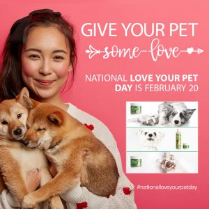 February newsletter for National Love Your Pet Day